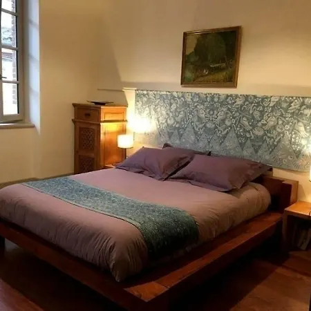 Vakantiehuis House La Maison Des Deux Ponts Albi